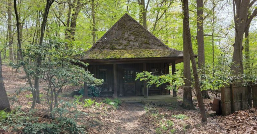 The Hidden Nature Gem That Proves New Jersey Still Has Places That Can Surprise You