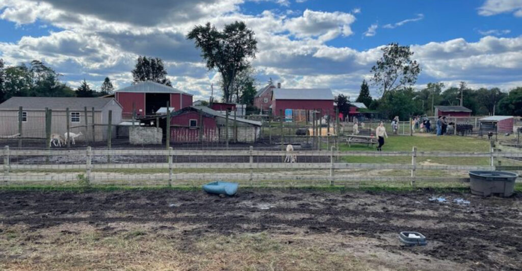The Hidden South Jersey Spot Where Rescued Animals Steal Every Heart