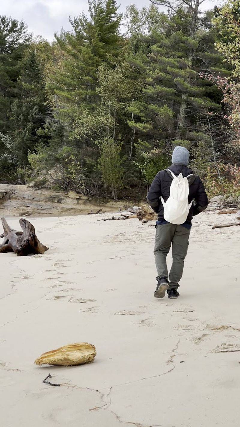 The Hike In: What Three Miles Through the Forest Actually Feels Like