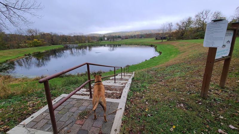 The Hiking Trail and the Pond at the End of It The Hiking Trail and the Pond at the End of It