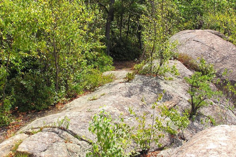The Hiking Trails That Surround the Water