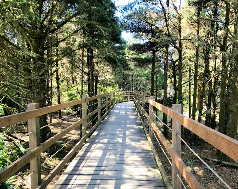 The Hiking and Biking Trails: Miles of Paved Paths Through Forest, Wetlands, and Beach The Hiking and Biking Trails: Miles of Paved Paths Through Forest, Wetlands, and Beach