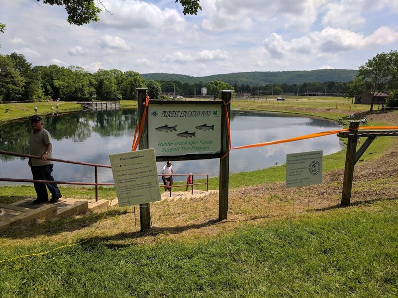 The History Behind the Hatchery The History Behind the Hatchery