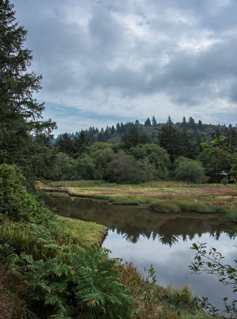 The History Behind the Land and Why It Matters