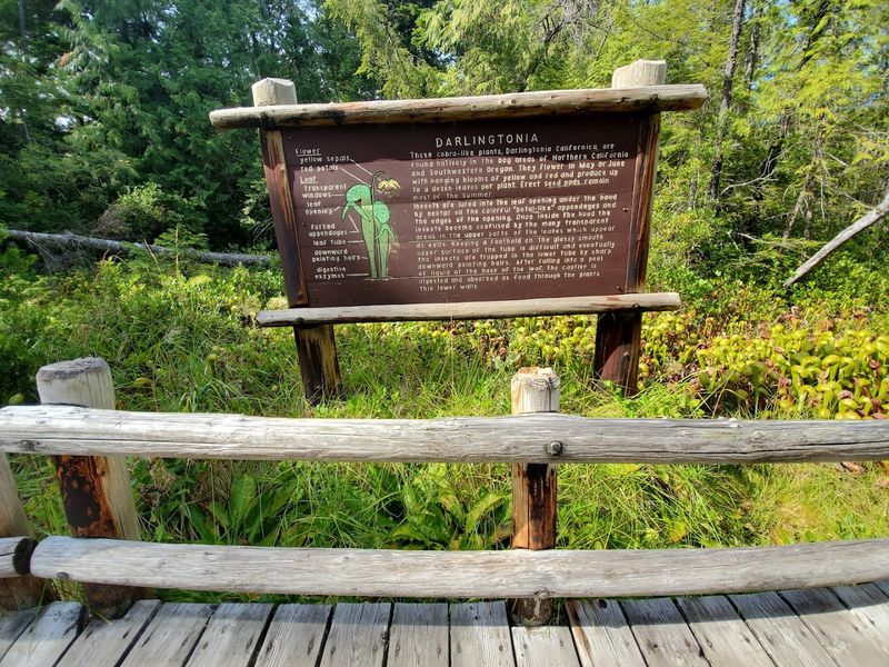 The History Behind the Name