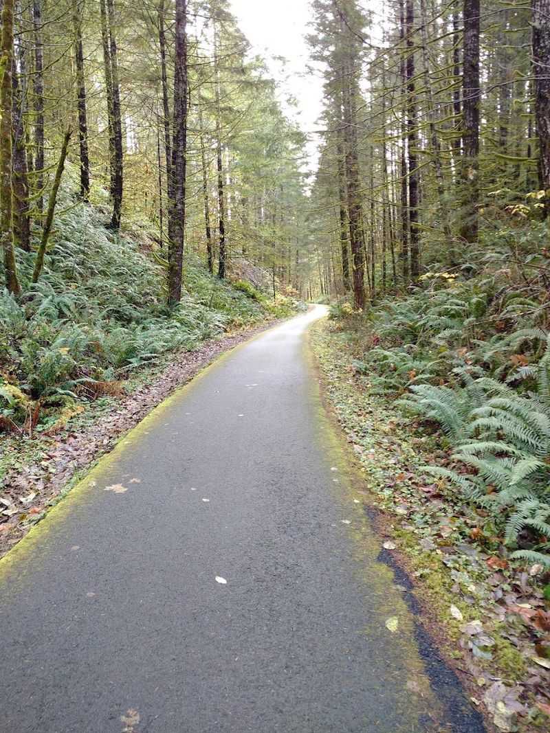 The History Behind the Rails-to-Trails Conversion The History Behind the Rails-to-Trails Conversion