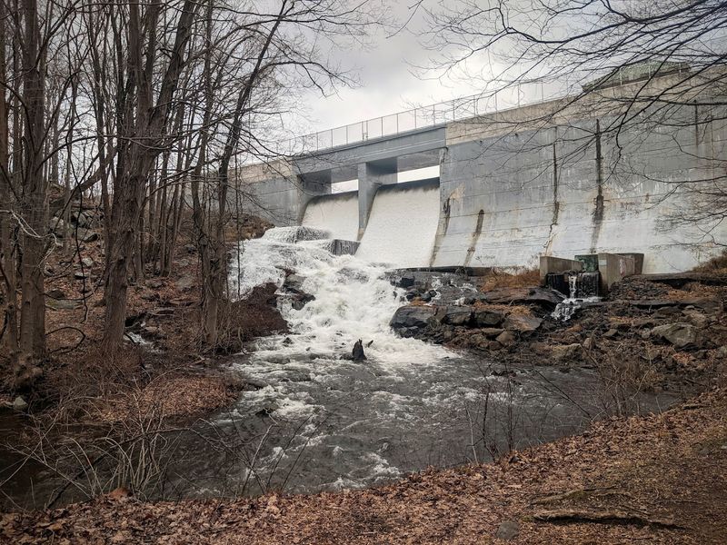 The History Behind the Reservoir