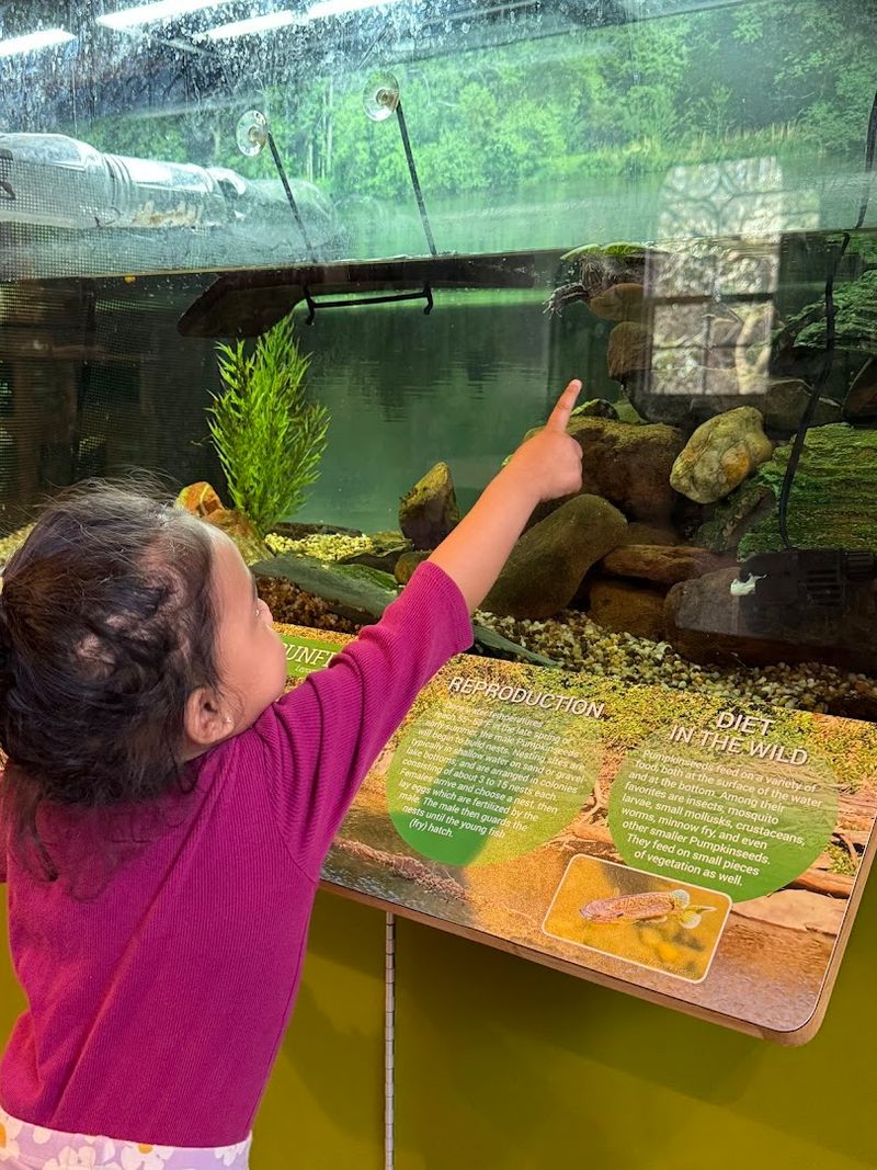 The Indoor Wildlife Exhibits That Steal the Show