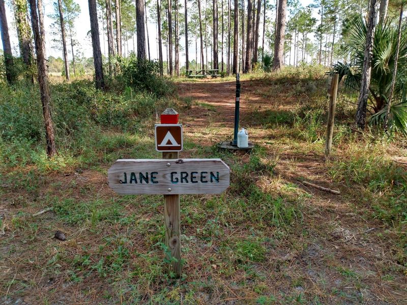 The Jane Green Campsite Experience