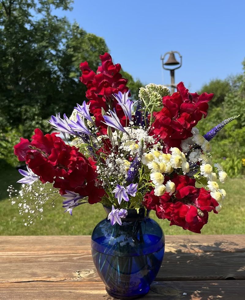 The Jaw-Dropping Range of Blooms on Offer