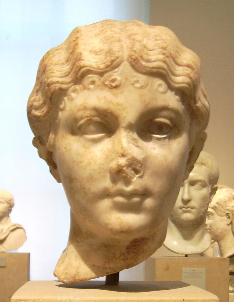 The Julio-Claudian Dynasty (Roman Empire)