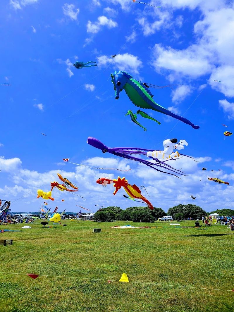 The Kite Festival That Turns the Sky Into a Canvas The Kite Festival That Turns the Sky Into a Canvas