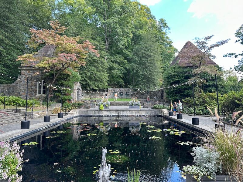 The Koi Ponds and the Art of Slowing Down