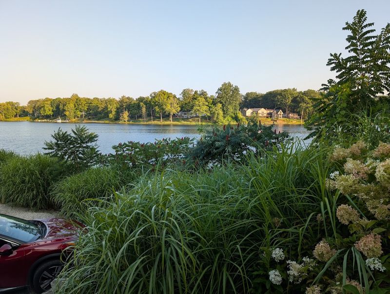 The Lake House Kitchen and Bar in Kent