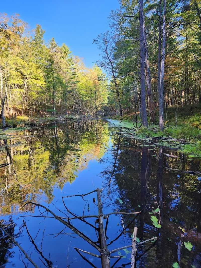 The Lakes, Forests, and Wildlife That Make the Scenery Unforgettable