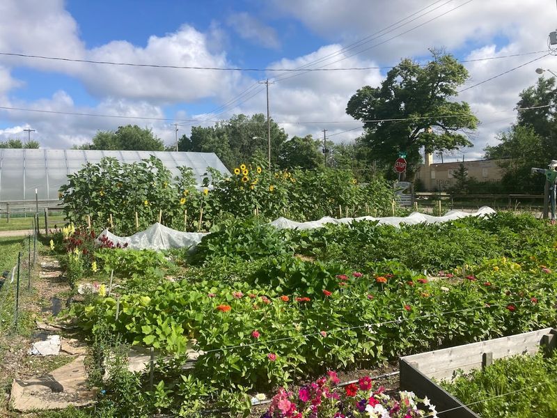 The Land Itself: What the Farm Actually Looks Like