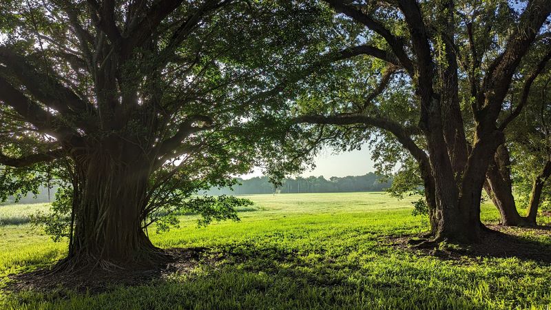 The Landscape That Surprises You The Landscape That Surprises You