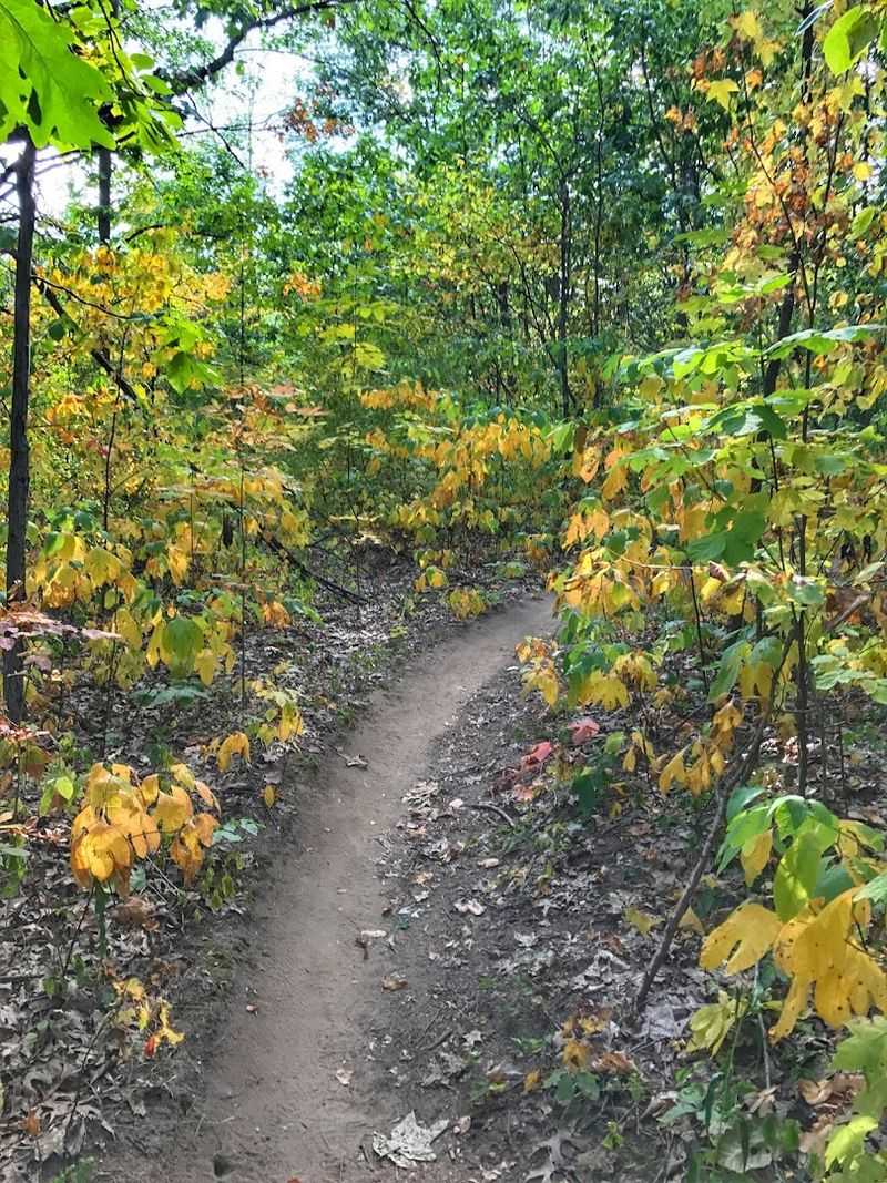The Layout of the Trail and What Those Four Sections Actually Mean