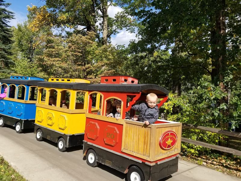 The Little Train That Loops the Whole Zoo