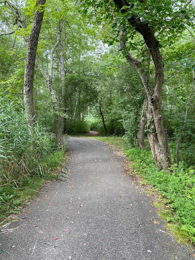 The Main Trail: Paved, Flat, and Surprisingly Long