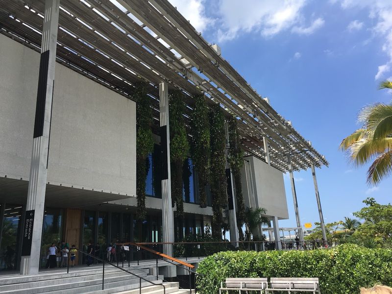 The Museum's Place in Miami's Cultural Scene The Museum's Place in Miami's Cultural Scene