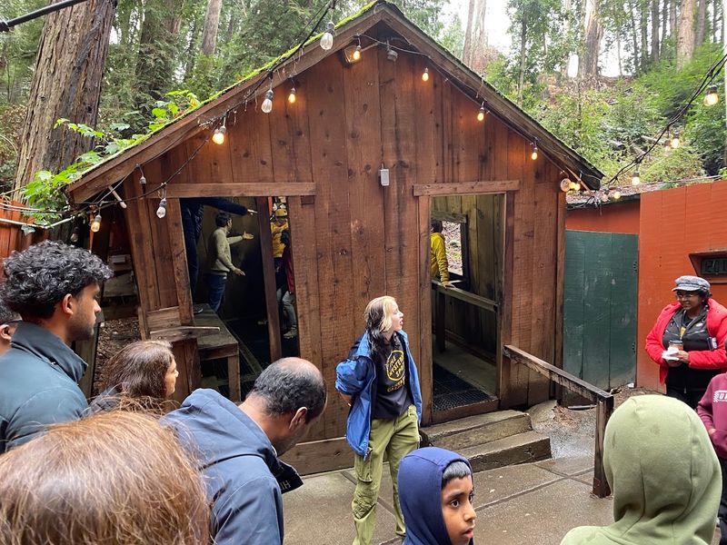 The Mystery Spot, Santa Cruz, California