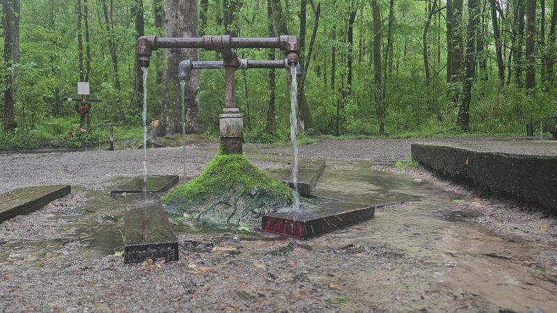 The Natural Artesian Water Source The Natural Artesian Water Source