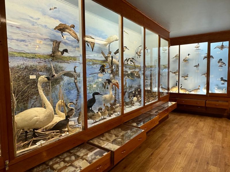 The Natural History Museum Inside the Center The Natural History Museum Inside the Center