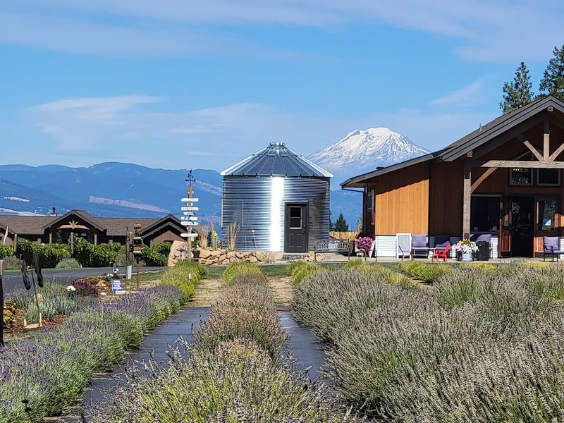 The Neighboring Winery and Outdoor Garden The Neighboring Winery and Outdoor Garden