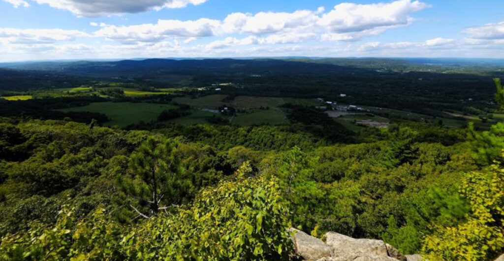 The New Jersey Hike That Packs a Suspension Bridge, Wetlands, and a Mountaintop View Into One Trip