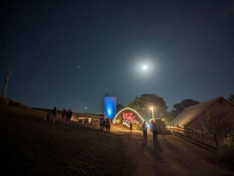 The Night Sky: Stars You Actually Get to See