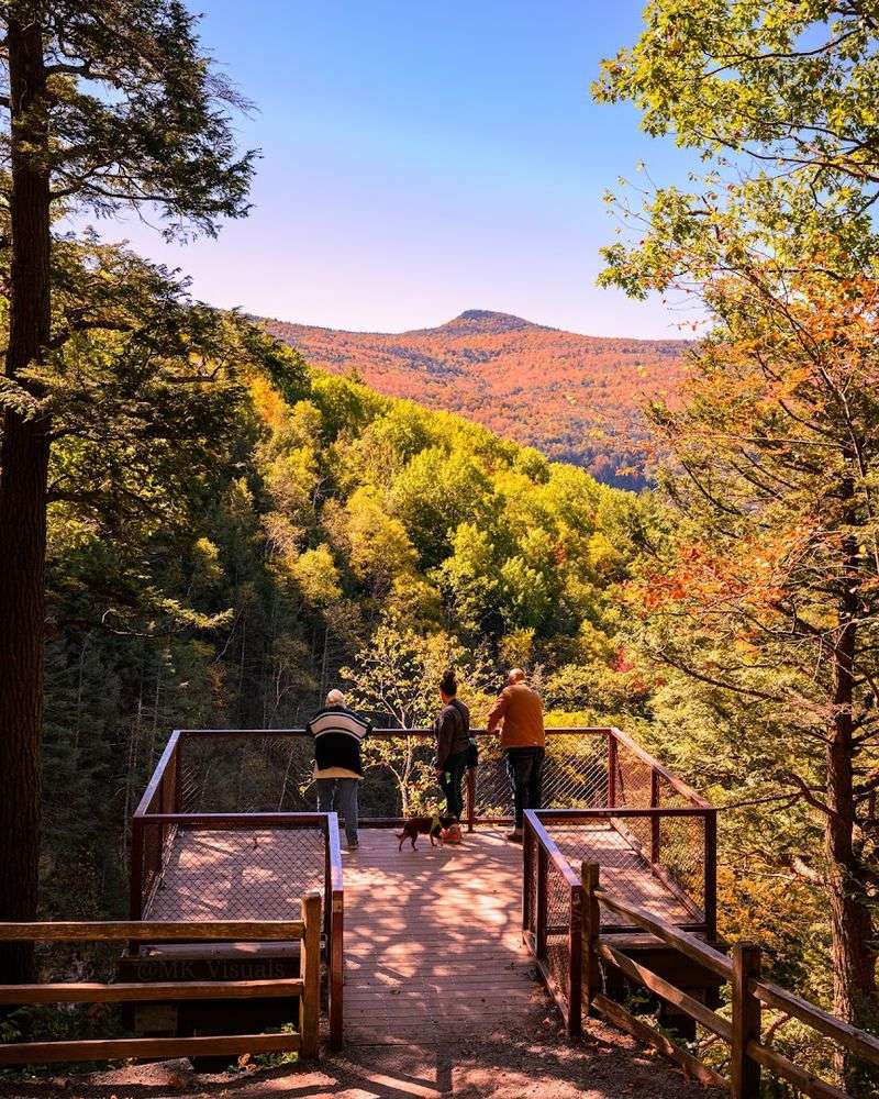 The Observation Deck View That Earns Its Own Highlight The Observation Deck View That Earns Its Own Highlight