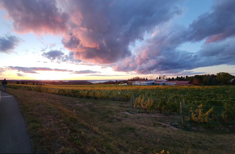 The Old Mission Peninsula Wine Trail Right at Your Doorstep