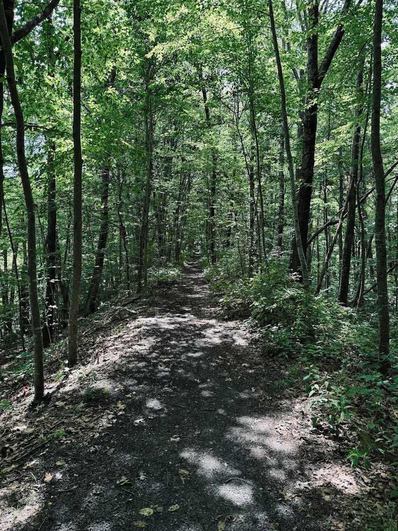 The Old Trolley Track That Still Tells a Story The Old Trolley Track That Still Tells a Story