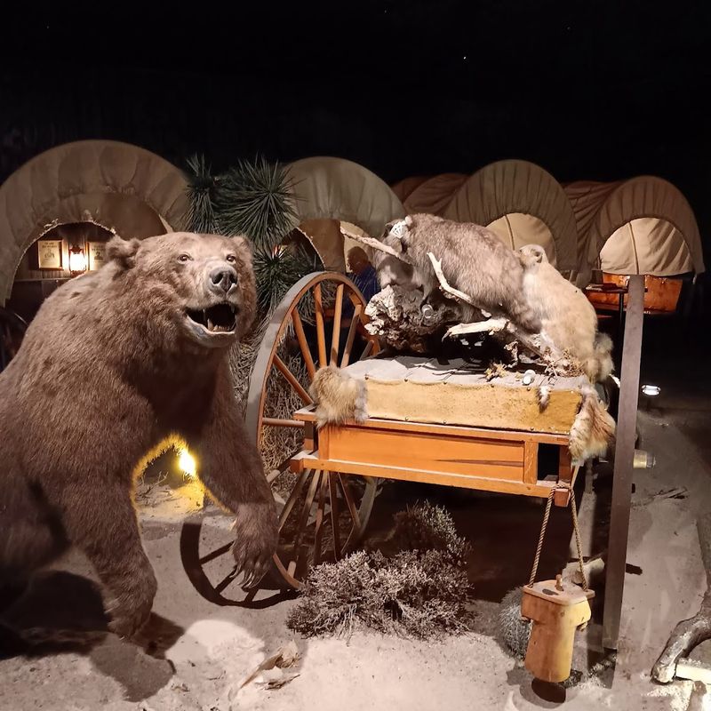 The Old West Atmosphere and Taxidermy Decor The Old West Atmosphere and Taxidermy Decor