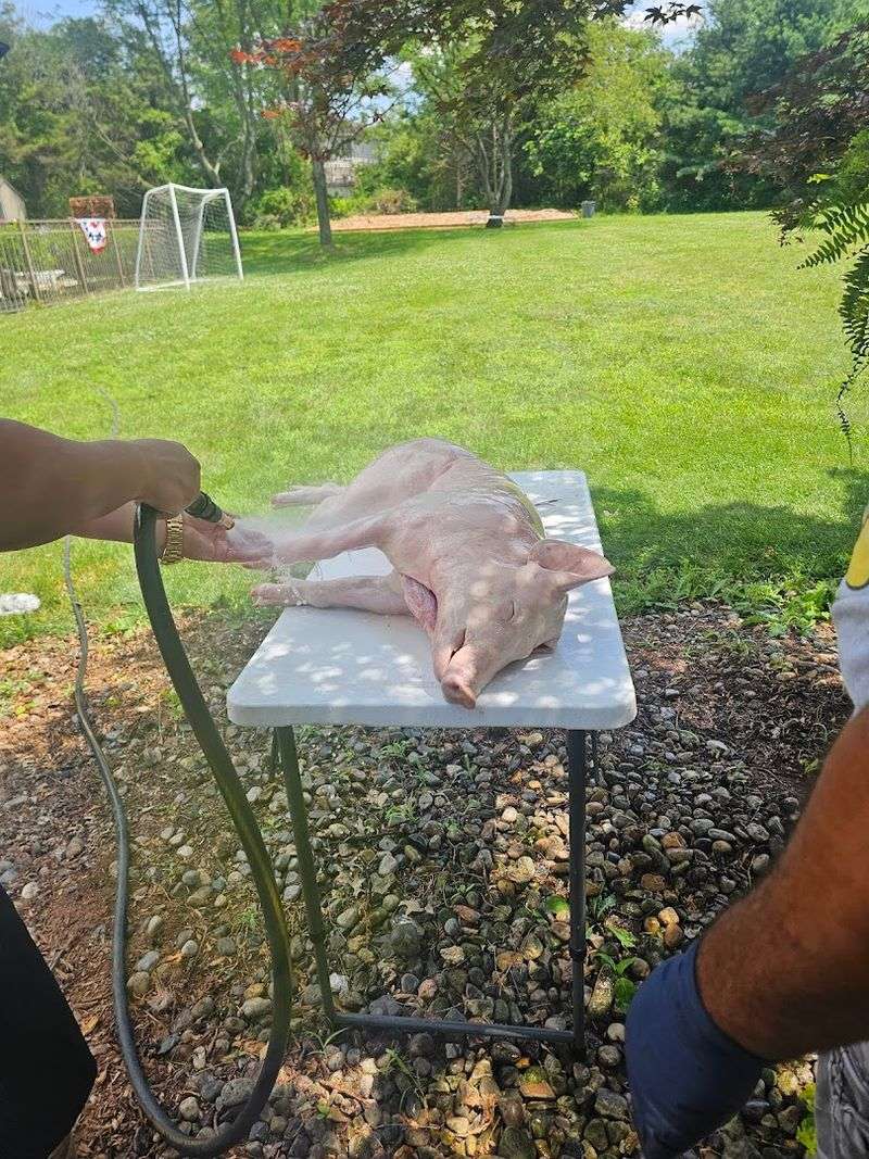 The On-Site Preparation Process