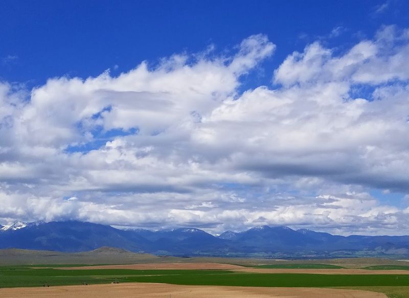 The Oregon Trail Legacy