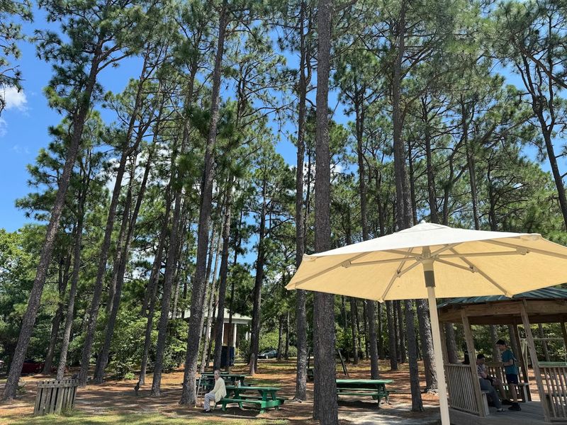 The Outdoor Atmosphere and Seating Area