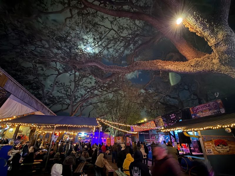 The Outdoor Music Stage Under the Oaks