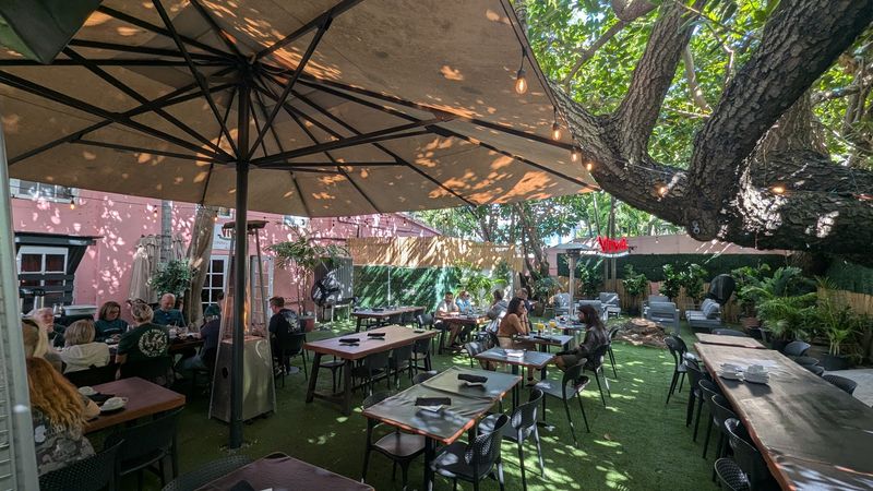 The Outdoor Patio: Dining Al Fresco in Key West The Outdoor Patio: Dining Al Fresco in Key West