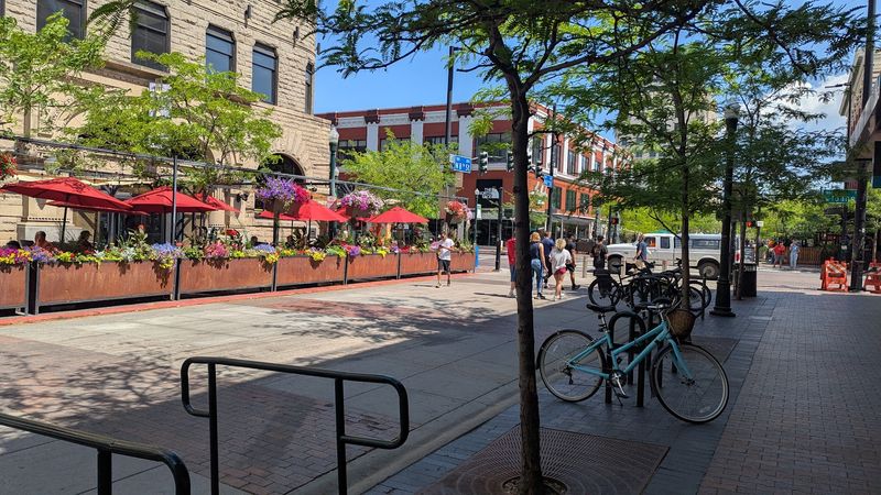 The Outdoor Patio, Private Dining, and Practical Tips for Your Visit