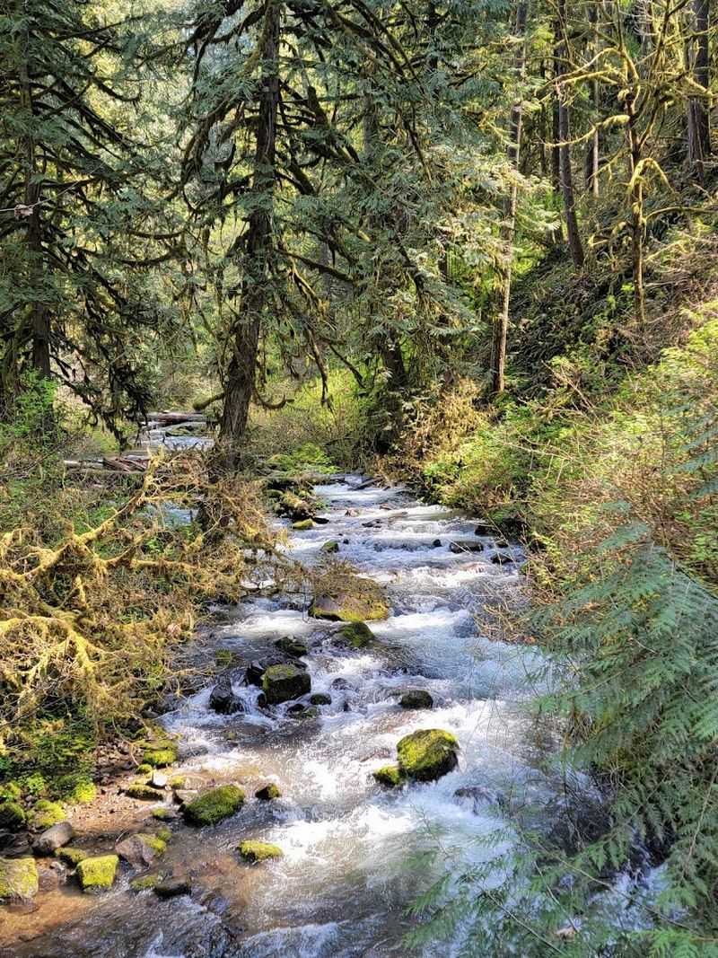 The 1.6-Mile Loop Trail Overview