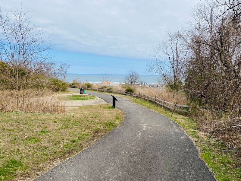 The Paved Path for a Different Kind of Visit The Paved Path for a Different Kind of Visit