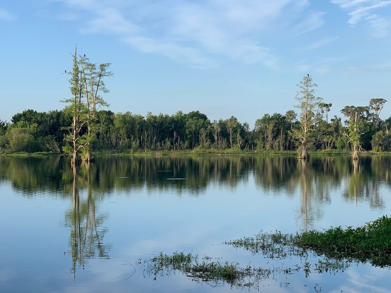 The Peaceful Side of the Reserve: Quiet Moments Worth Seeking