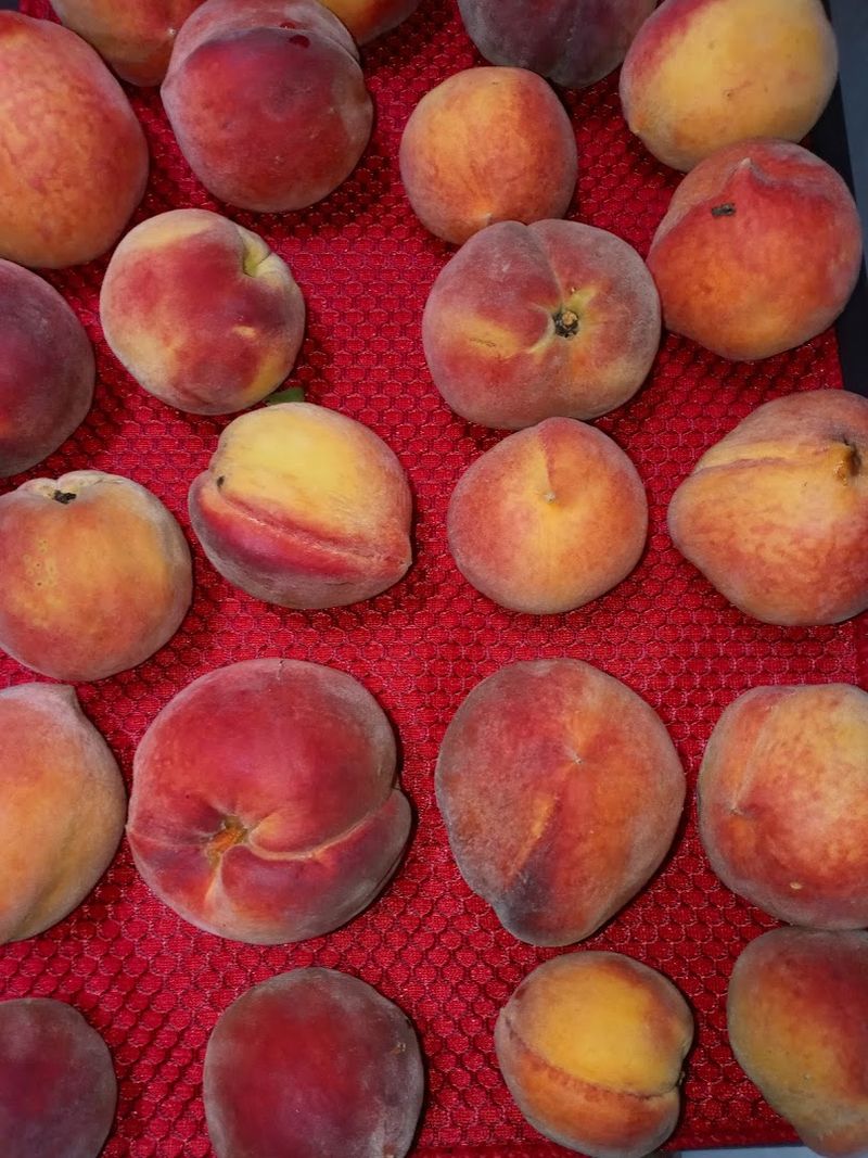 The Peach Varieties Worth Knowing About The Peach Varieties Worth Knowing About
