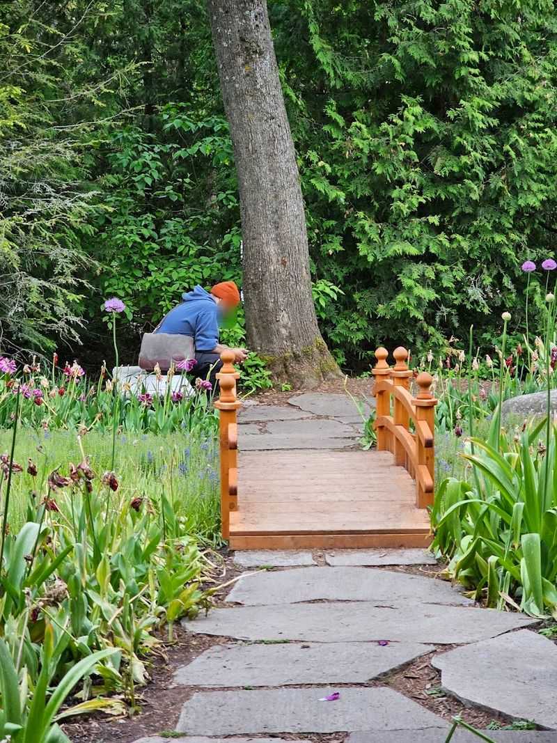 The People Behind the Blooms
