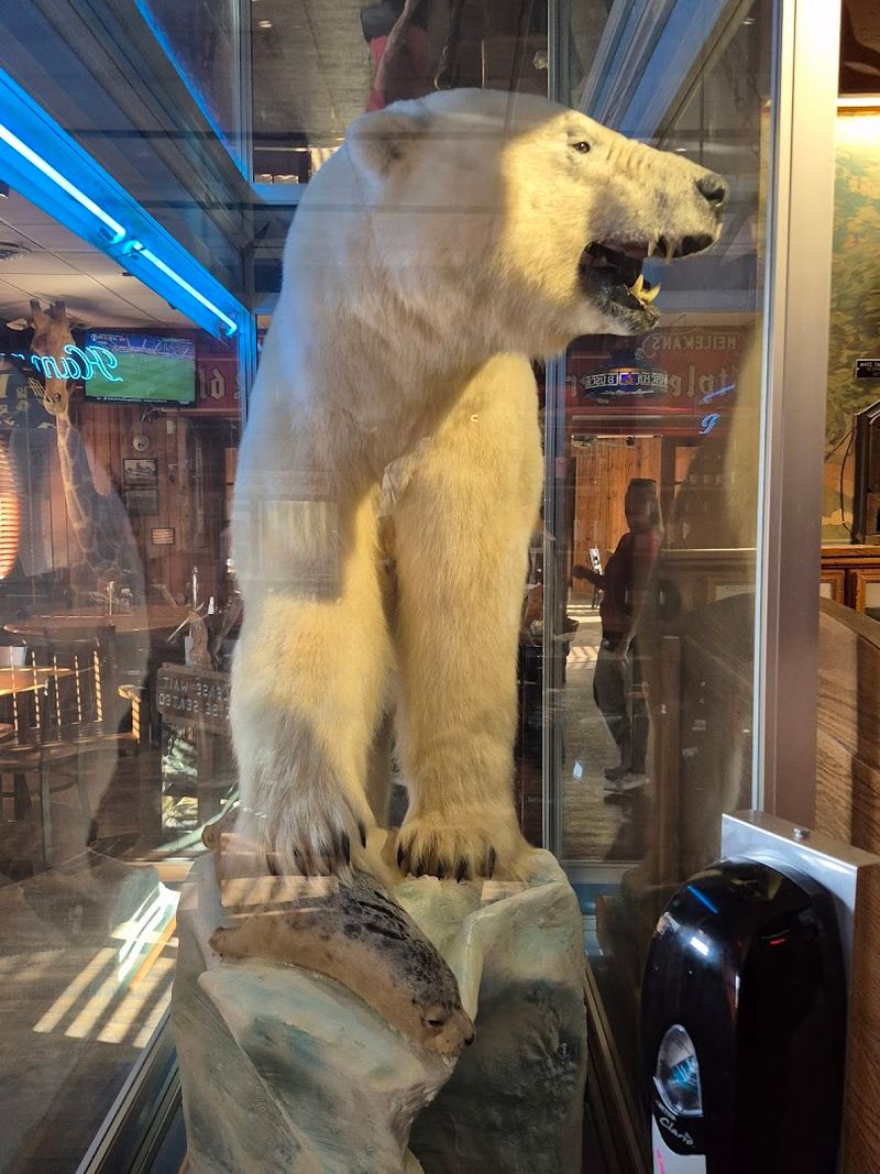 The Polar Bear That Rules the Room The Polar Bear That Rules the Room