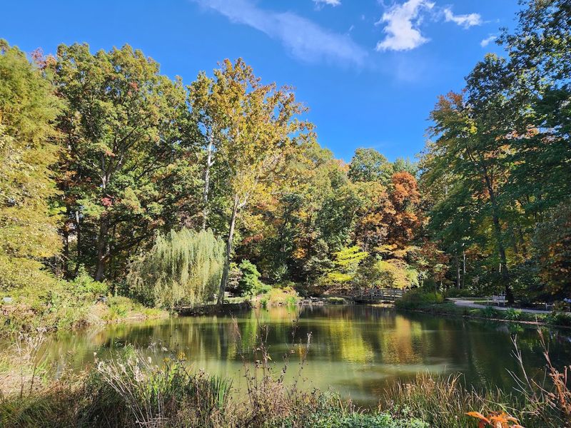 The Pond and Its Surrounding Landscape The Pond and Its Surrounding Landscape