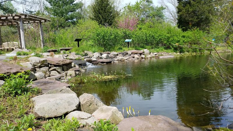 The Ponds, the Turtles, and the Spot Everyone Loves Most The Ponds, the Turtles, and the Spot Everyone Loves Most