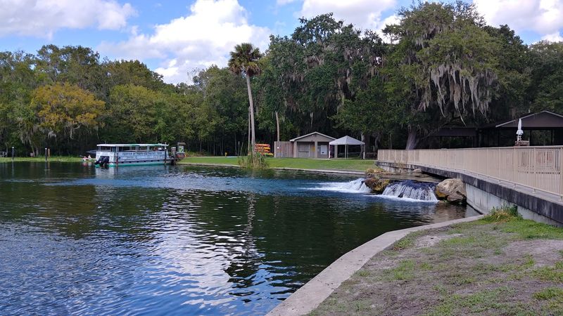 The Pontoon Boat Tour: Wildlife on the Water